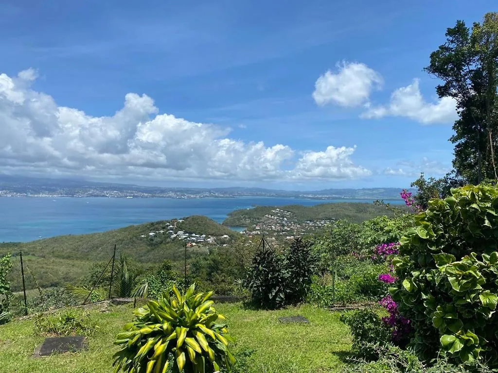 Zen Attitude Apartman Gallochat